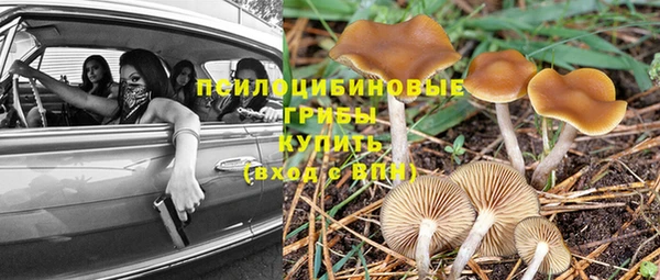 а пвп мука Балахна