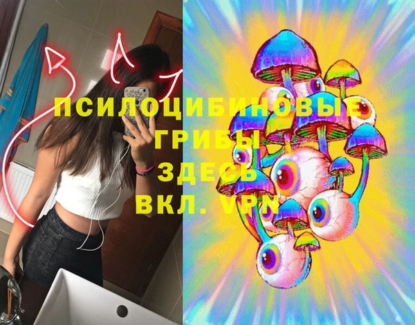 соль ск Балабаново